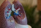 how to dry fluids in the lungs