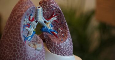 how to dry fluids in the lungs