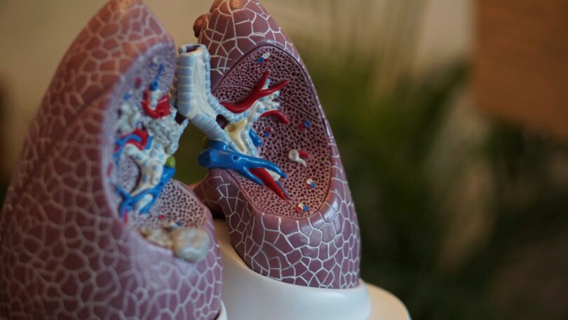 how to dry fluids in the lungs